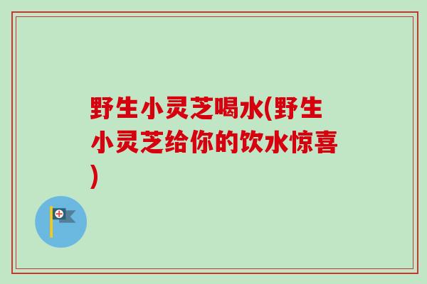 野生小灵芝喝水(野生小灵芝给你的饮水惊喜)
