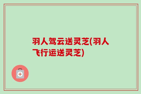 羽人驾云送灵芝(羽人飞行运送灵芝)