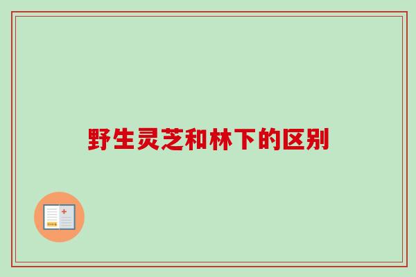 野生灵芝和林下的区别