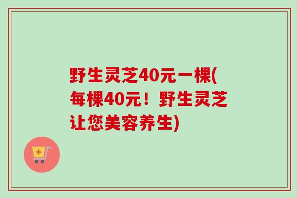 野生灵芝40元一棵(每棵40元!野生灵芝让您美容养生) 野生灵芝40元一棵(每棵40元!野生灵芝让您美容养生)