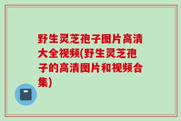 野生灵芝孢子图片高清大全视频(野生灵芝孢子的高清图片和视频合集)