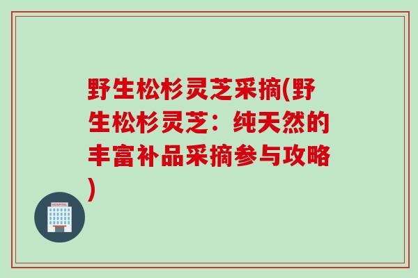 野生松杉灵芝采摘(野生松杉灵芝：纯天然的丰富补品采摘参与攻略)
