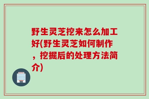 野生灵芝挖来怎么加工好(野生灵芝如何制作，挖掘后的处理方法简介)
