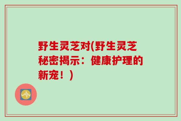 野生灵芝对(野生灵芝秘密揭示:健康护理的新宠!) 野生灵芝对(野生灵芝秘密揭示:健康护理的新宠!)