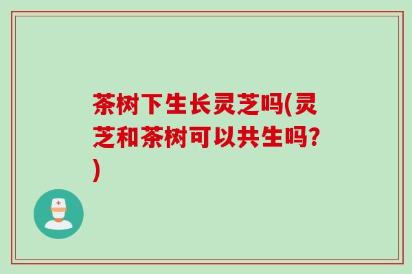 茶树下生长灵芝吗(灵芝和茶树可以共生吗？)