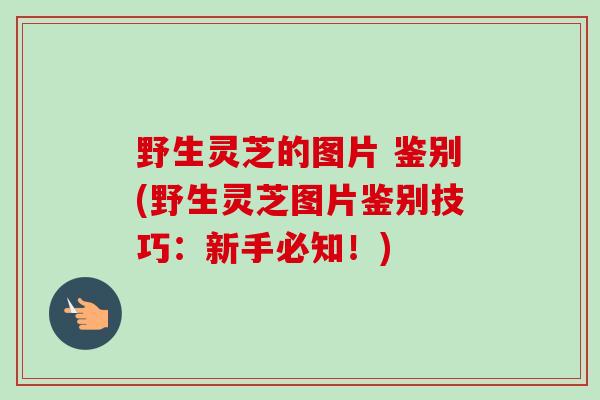 野生灵芝的图片 鉴别(野生灵芝图片鉴别技巧：新手必知！)