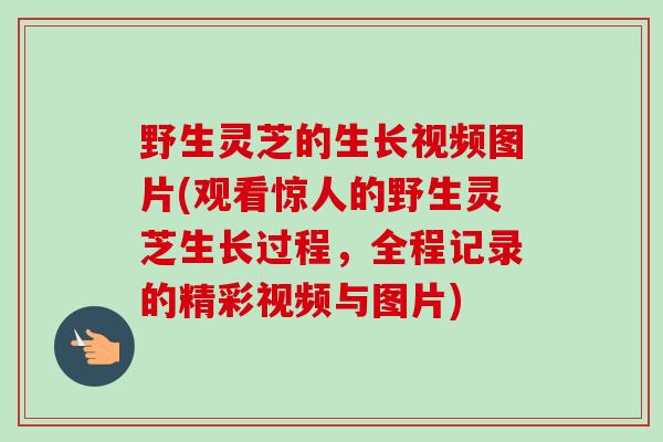 野生灵芝的生长视频图片(观看惊人的野生灵芝生长过程，全程记录的精彩视频与图片)