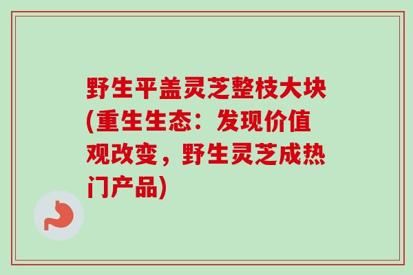 野生平盖灵芝整枝大块(重生生态：发现价值观改变，野生灵芝成热门产品)