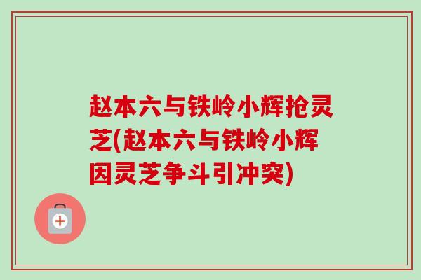 赵本六与铁岭小辉抢灵芝(赵本六与铁岭小辉因灵芝争斗引冲突)