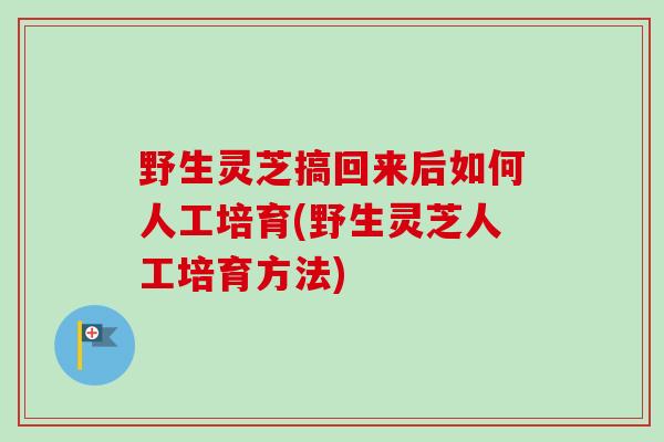 野生灵芝搞回来后如何人工培育(野生灵芝人工培育方法)