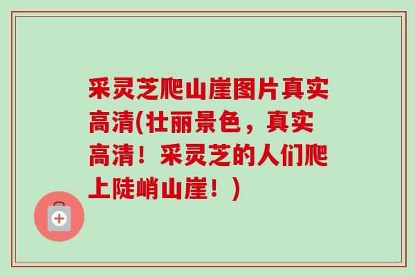 采灵芝爬山崖图片真实高清(壮丽景色，真实高清！采灵芝的人们爬上陡峭山崖！)