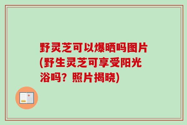 野灵芝可以爆晒吗图片(野生灵芝可享受阳光浴吗？照片揭晓)