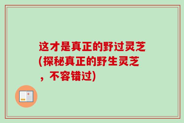 这才是真正的野过灵芝(探秘真正的野生灵芝，不容错过)