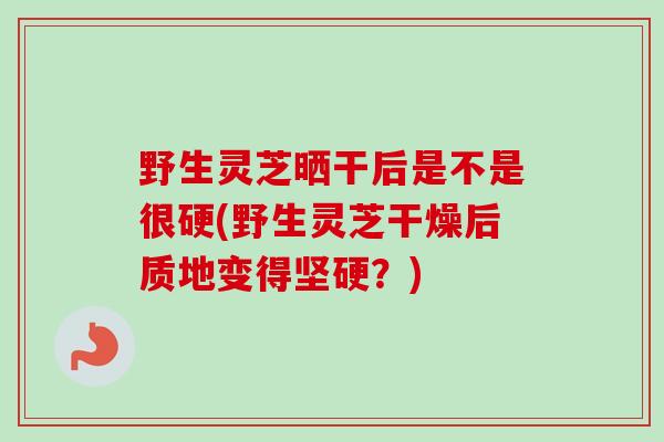 野生灵芝晒干后是不是很硬(野生灵芝干燥后质地变得坚硬?) 野生灵芝晒干后是不是很硬(野生灵芝干燥后质地变得坚硬?)