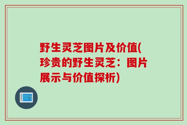 野生灵芝图片及价值(珍贵的野生灵芝：图片展示与价值探析)