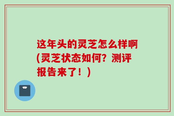 这年头的灵芝怎么样啊(灵芝状态如何？测评报告来了！)
