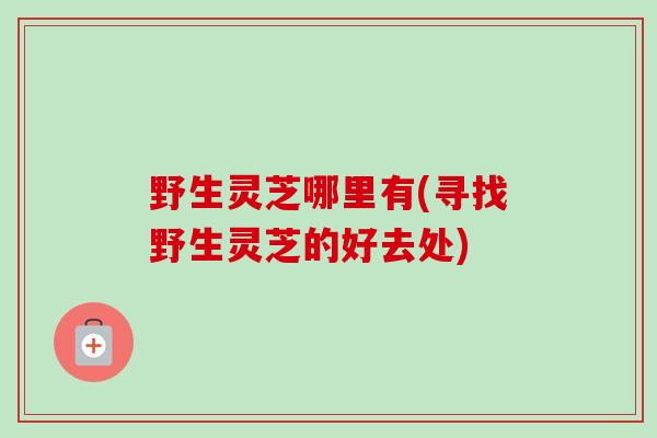 野生灵芝哪里有(寻找野生灵芝的好去处)