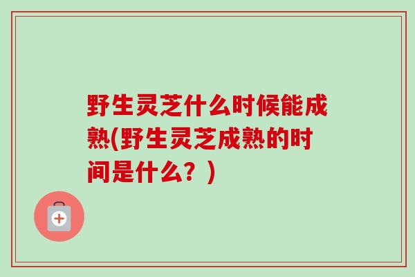 野生灵芝什么时候能成熟(野生灵芝成熟的时间是什么？)