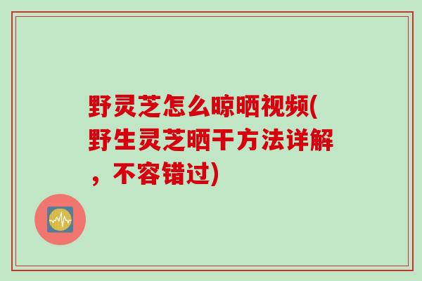 野灵芝怎么晾晒视频(野生灵芝晒干方法详解，不容错过)