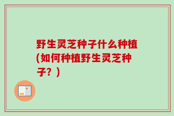 野生灵芝种子什么种植(如何种植野生灵芝种子？)