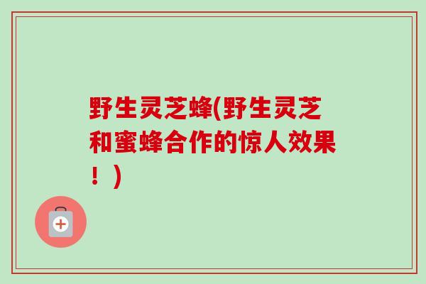 野生灵芝蜂(野生灵芝和蜜蜂合作的惊人效果！)