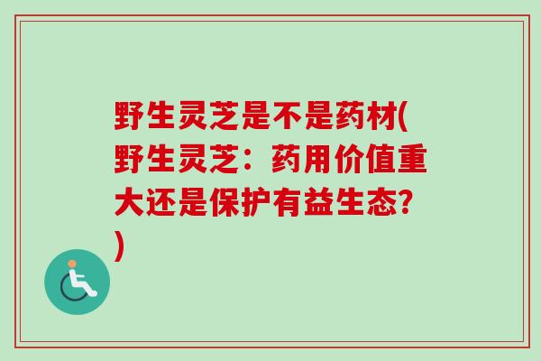 野生灵芝是不是药材(野生灵芝：药用价值重大还是保护有益生态？)