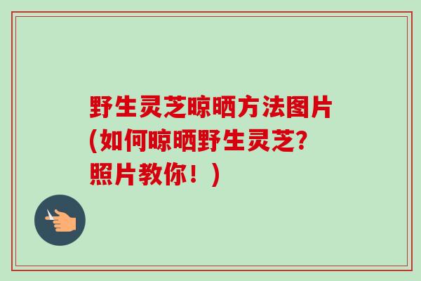 野生灵芝晾晒方法图片(如何晾晒野生灵芝？照片教你！)