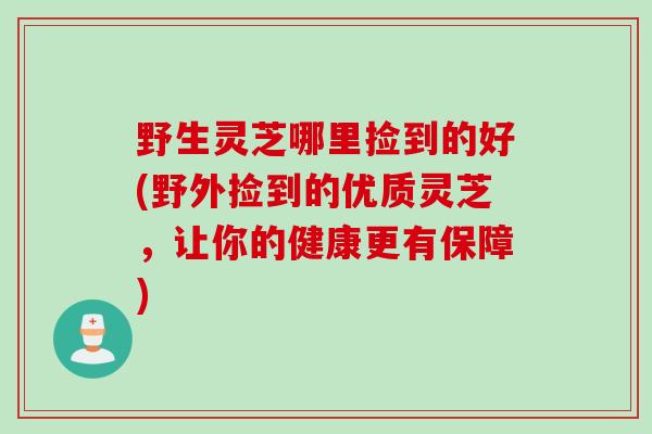 野生灵芝哪里捡到的好(野外捡到的优质灵芝，让你的健康更有保障)