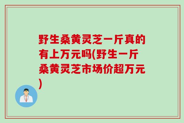 野生桑黄灵芝一斤真的有上万元吗(野生一斤桑黄灵芝市场价超万元)
