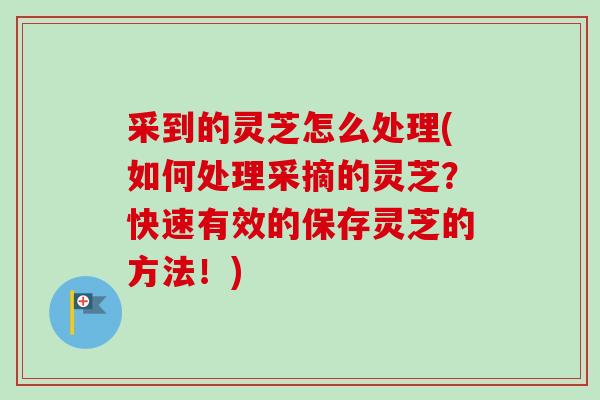 采到的灵芝怎么处理(如何处理采摘的灵芝？快速有效的保存灵芝的方法！)
