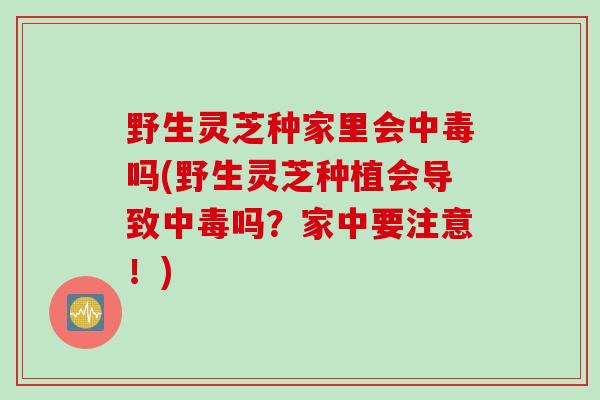野生灵芝种家里会中毒吗(野生灵芝种植会导致中毒吗？家中要注意！)