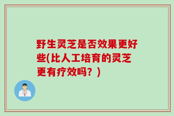 野生灵芝是否效果更好些(比人工培育的灵芝更有疗效吗?) 野生灵芝是否效果更好些(比人工培育的灵芝更有疗效吗?)
