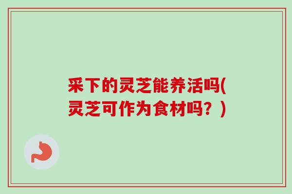 采下的灵芝能养活吗(灵芝可作为食材吗？)