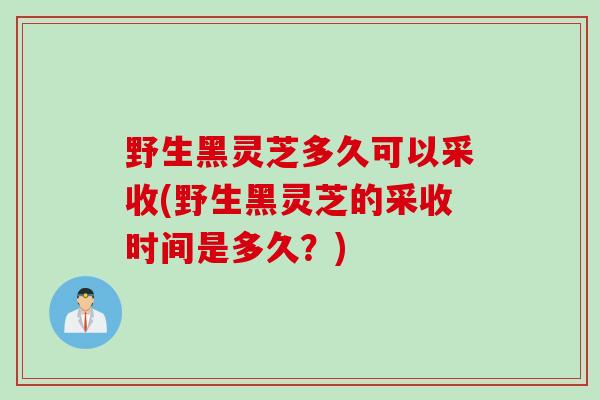 野生黑灵芝多久可以采收(野生黑灵芝的采收时间是多久?) 野生黑灵芝多久可以采收(野生黑灵芝的采收时间是多久?)