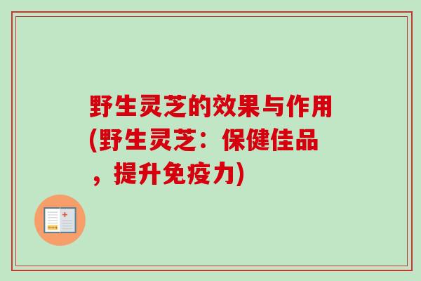 野生灵芝的效果与作用(野生灵芝：保健佳品，提升免疫力)