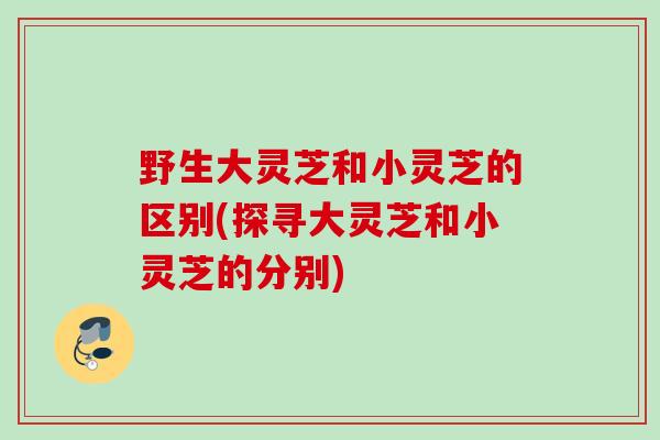 野生大灵芝和小灵芝的区别(探寻大灵芝和小灵芝的分别) 野生大灵芝和小灵芝的区别(探寻大灵芝和小灵芝的分别)