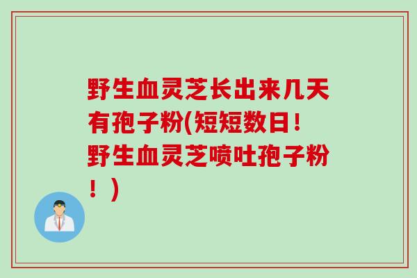 野生血灵芝长出来几天有孢子粉(短短数日！野生血灵芝喷吐孢子粉！)