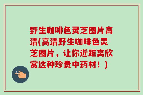 野生咖啡色灵芝图片高清(高清野生咖啡色灵芝图片，让你近距离欣赏这种珍贵材！)