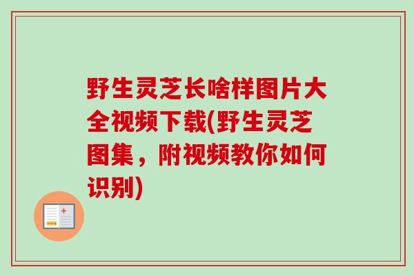 野生灵芝长啥样图片大全视频下载(野生灵芝图集，附视频教你如何识别)