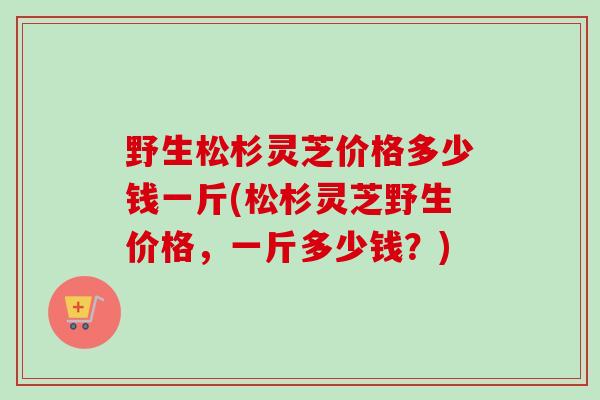 野生松杉灵芝价格多少钱一斤(松杉灵芝野生价格，一斤多少钱？)