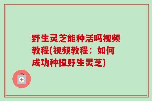 野生灵芝能种活吗视频教程(视频教程:如何成功种植野生灵芝) 野生灵芝能种活吗视频教程(视频教程:如何成功种植野生灵芝)