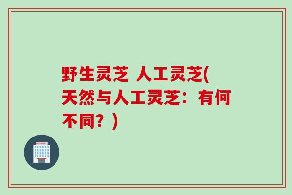 野生灵芝 人工灵芝(天然与人工灵芝：有何不同？)