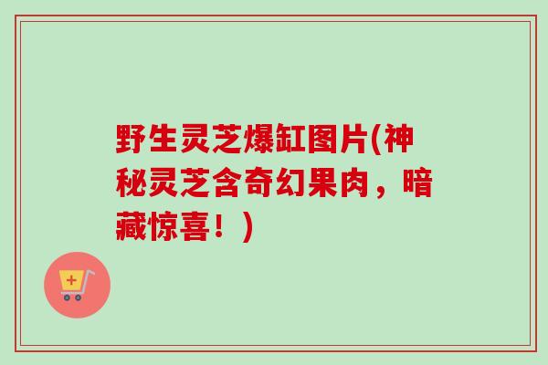 野生灵芝爆缸图片(神秘灵芝含奇幻果肉，暗藏惊喜！)