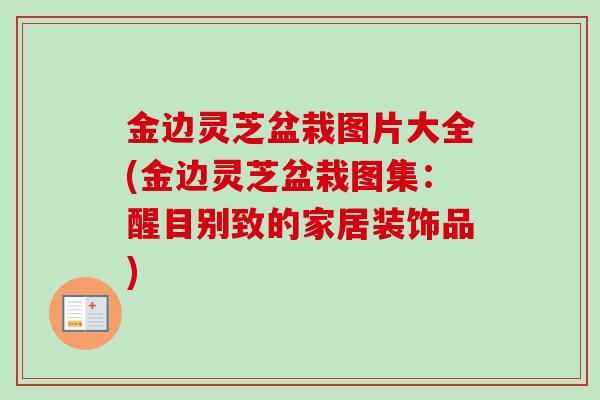 金边灵芝盆栽图片大全(金边灵芝盆栽图集：醒目别致的家居装饰品)