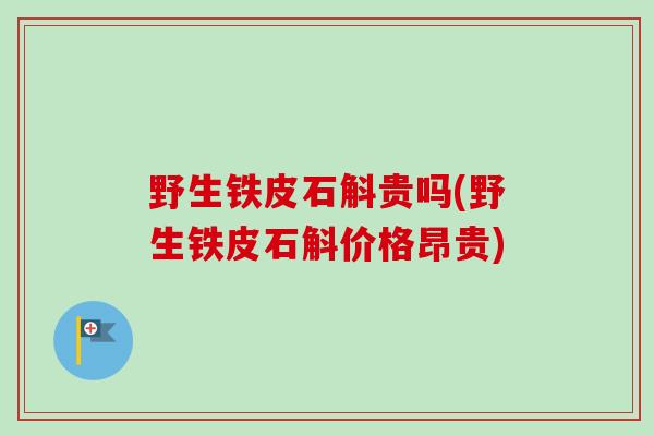 野生铁皮石斛贵吗(野生铁皮石斛价格昂贵)