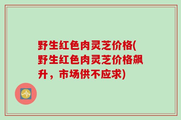 野生红色肉灵芝价格(野生红色肉灵芝价格飙升，市场供不应求)