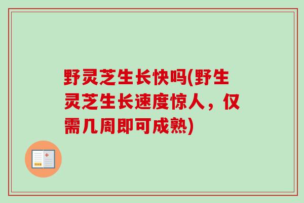野灵芝生长快吗(野生灵芝生长速度惊人,仅需几周即可成熟) 野灵芝生长快吗(野生灵芝生长速度惊人,仅需几周即可成熟)