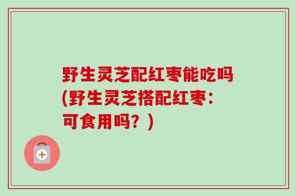 野生灵芝配红枣能吃吗(野生灵芝搭配红枣：可食用吗？)