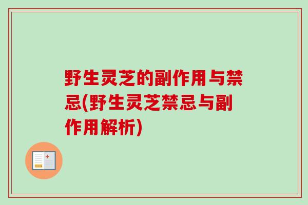 野生灵芝的副作用与禁忌(野生灵芝禁忌与副作用解析)