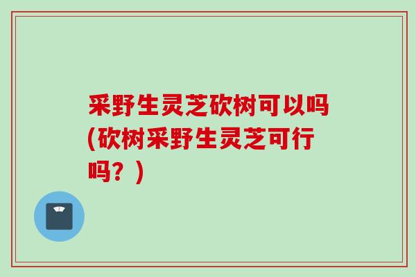 采野生灵芝砍树可以吗(砍树采野生灵芝可行吗?) 采野生灵芝砍树可以吗(砍树采野生灵芝可行吗?)